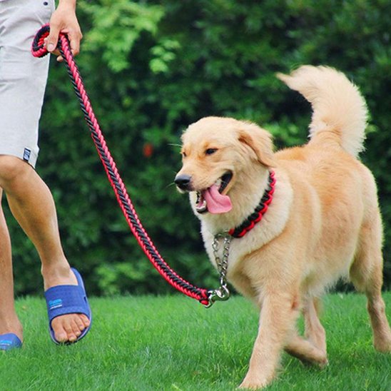 une laisse de chien avec attache métal sécurisée 