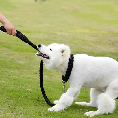 une laisse de chien confortable pour promenade 