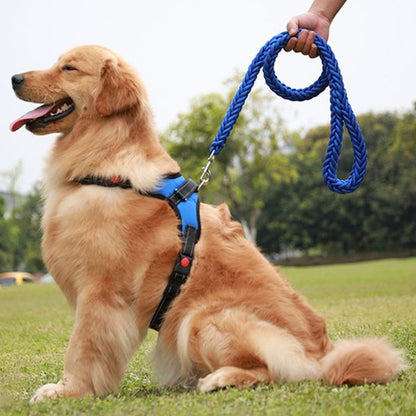une laisse de chien durable pour tous les chiens 
