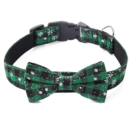 Collier chien | Solide et Confortable