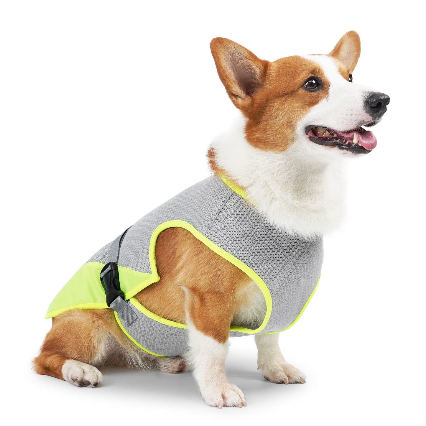 Gilet rafraichissant pour chien | Confort Optimal