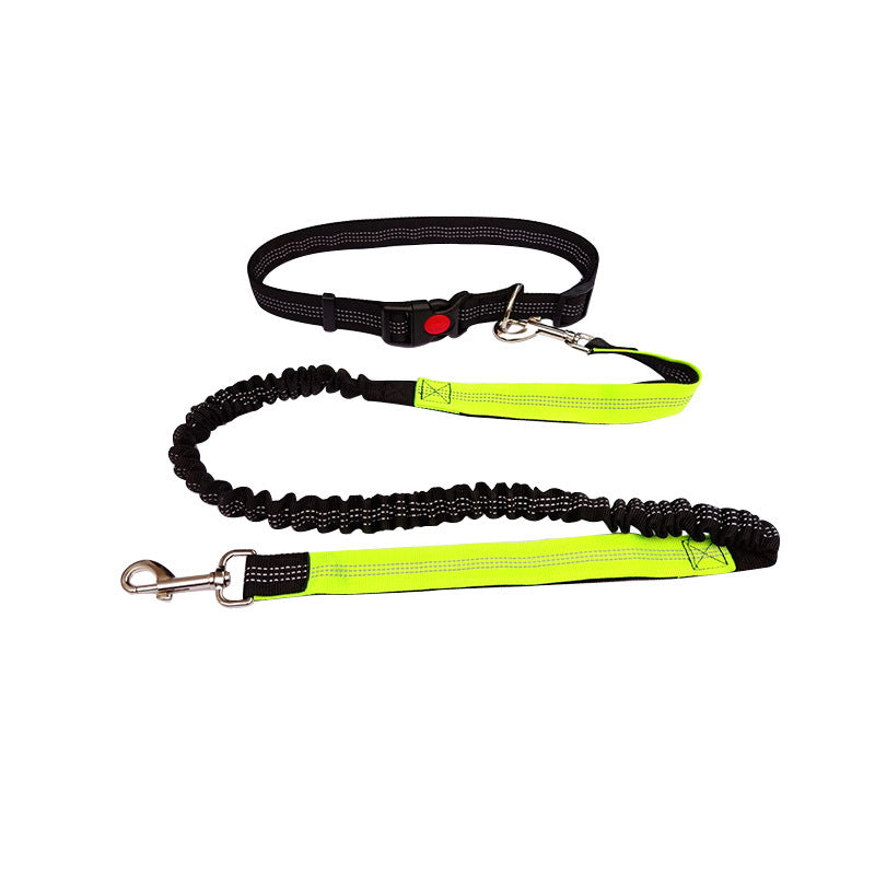 Laisse main libre chien  | Confort Optimal