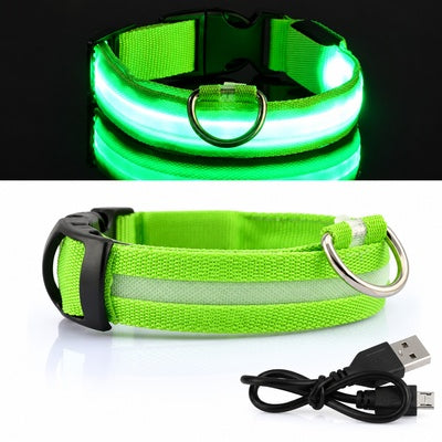 Collier lumineux pour chien rechargeable | LED 500m