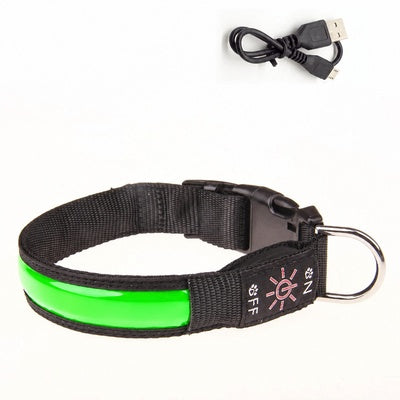 Collier lumineux pour chien rechargeable USB | Sécurité