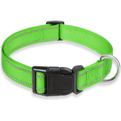 Collier pour chien | Confortable et Durable