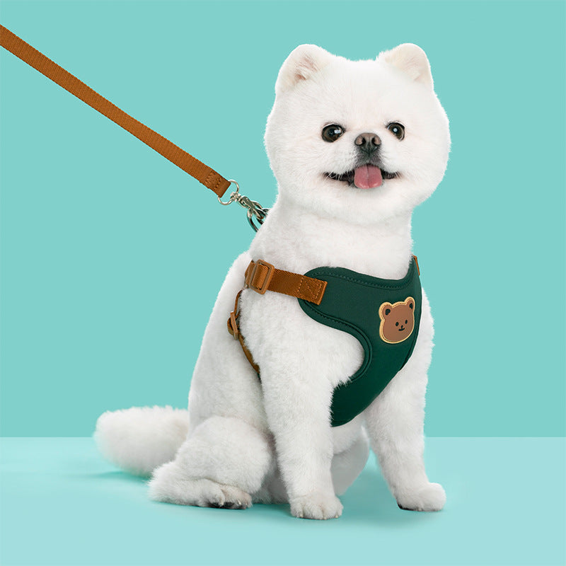 Harnais pour petit Chien | Confort Quotidien