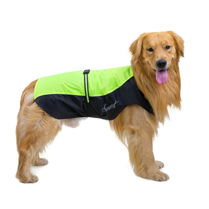 Imperméable pour chien | Tous temps