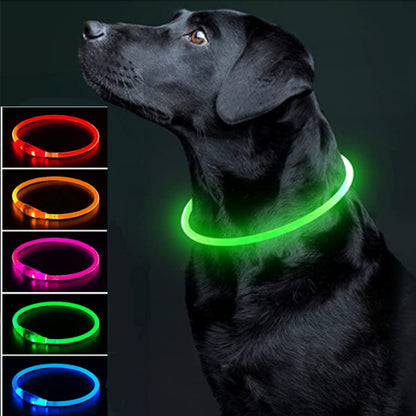 Collier lumineux chien rechargeable | Confort et Visibilité