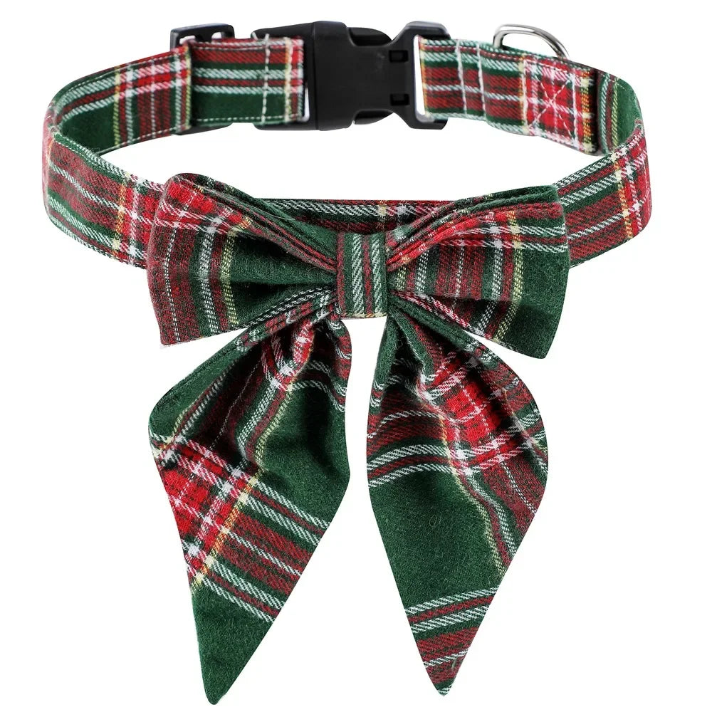 Collier Chien | Résistant Ajustable
