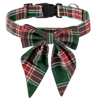 Collier Chien | Résistant Ajustable