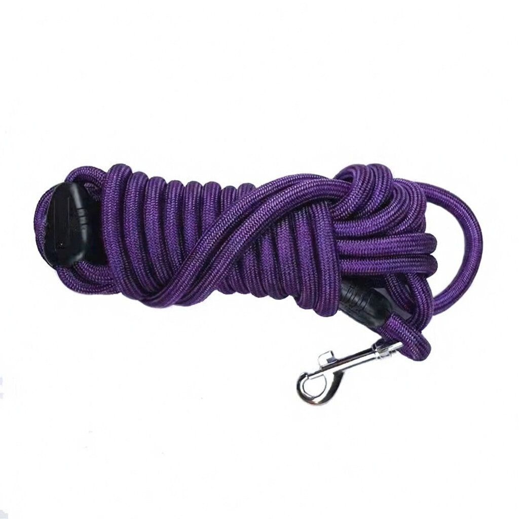 Longe pour Chien | Robuste et Confortable