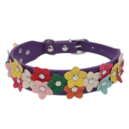 Collier chien cuir | Élégant et Robuste