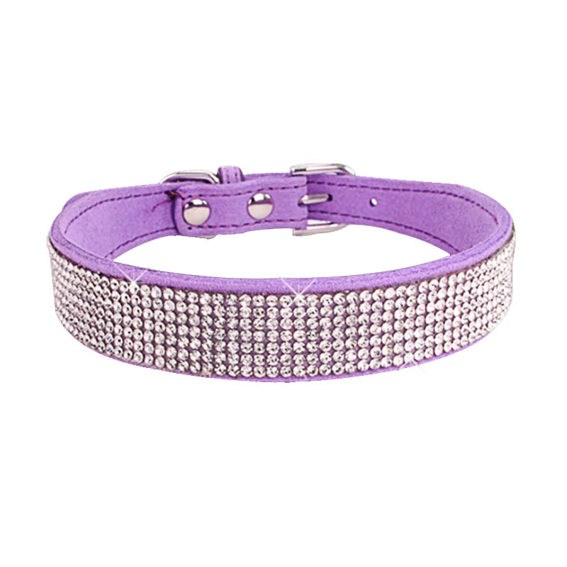 Collier pour chien | Résistant & Confortable
