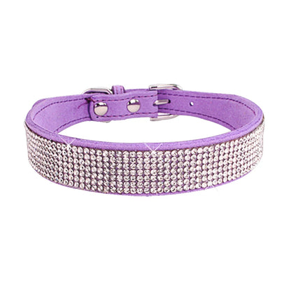 Collier pour chien | Résistant & Confortable